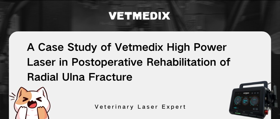VETMEDIXi juhtumi jagamine 丨 Suure võimsusega laserravi radiaalse ulna luumurru operatsioonijärgsel rehabilitatsioonil