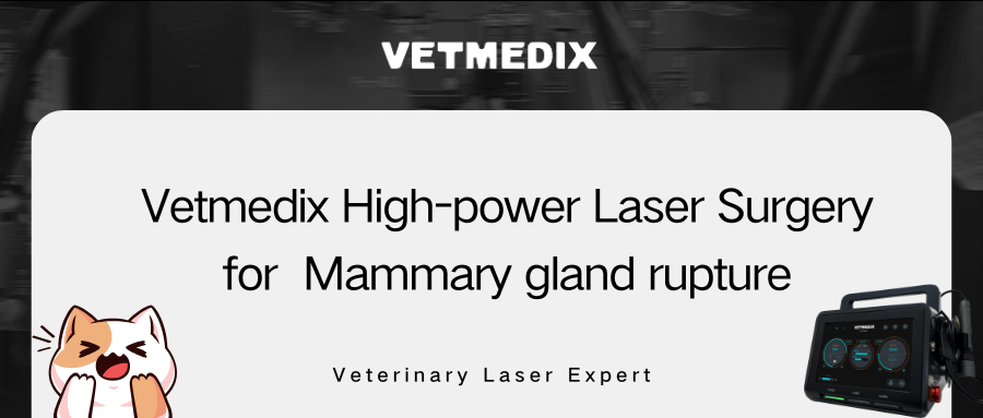 VETMEDIXi juhtumite jagamine 丨Suure võimsusega laserkirurgia piimanäärmerebendi korral