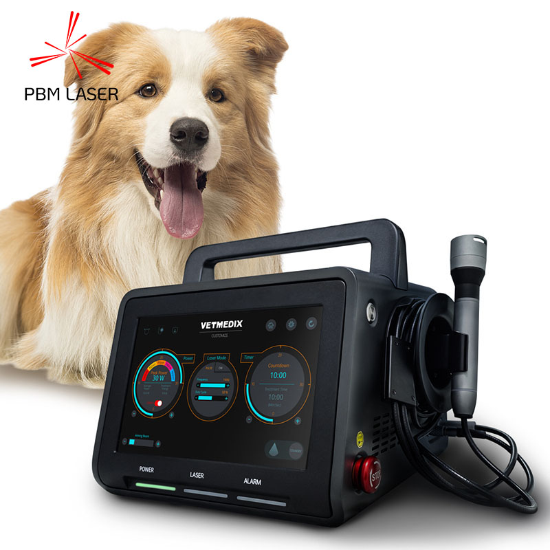 30 W koerte lemmikloomade valuteraapia laser 450 nm 650 nm 810 nm 808 nm 915 nm 1064 nm